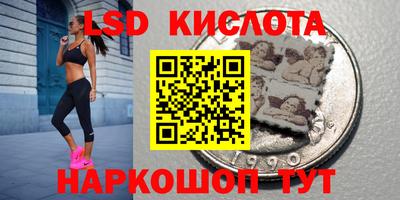 Альфа ПВП Кандалакша