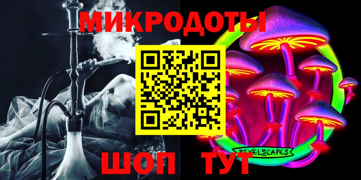 Кировск  Псилоцибиновые грибы мухоморы  Галлюциногенные грибы Cubensis  дарнет шоп  Вход с VPN 